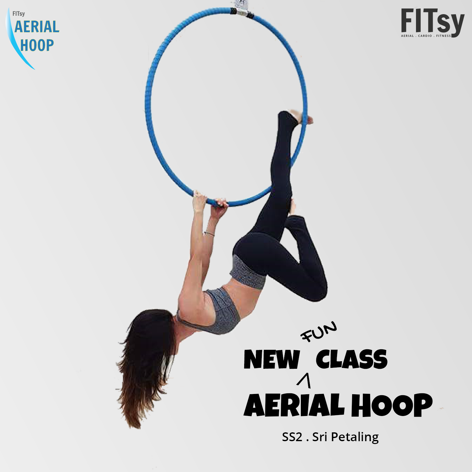 Aerial Hoop class